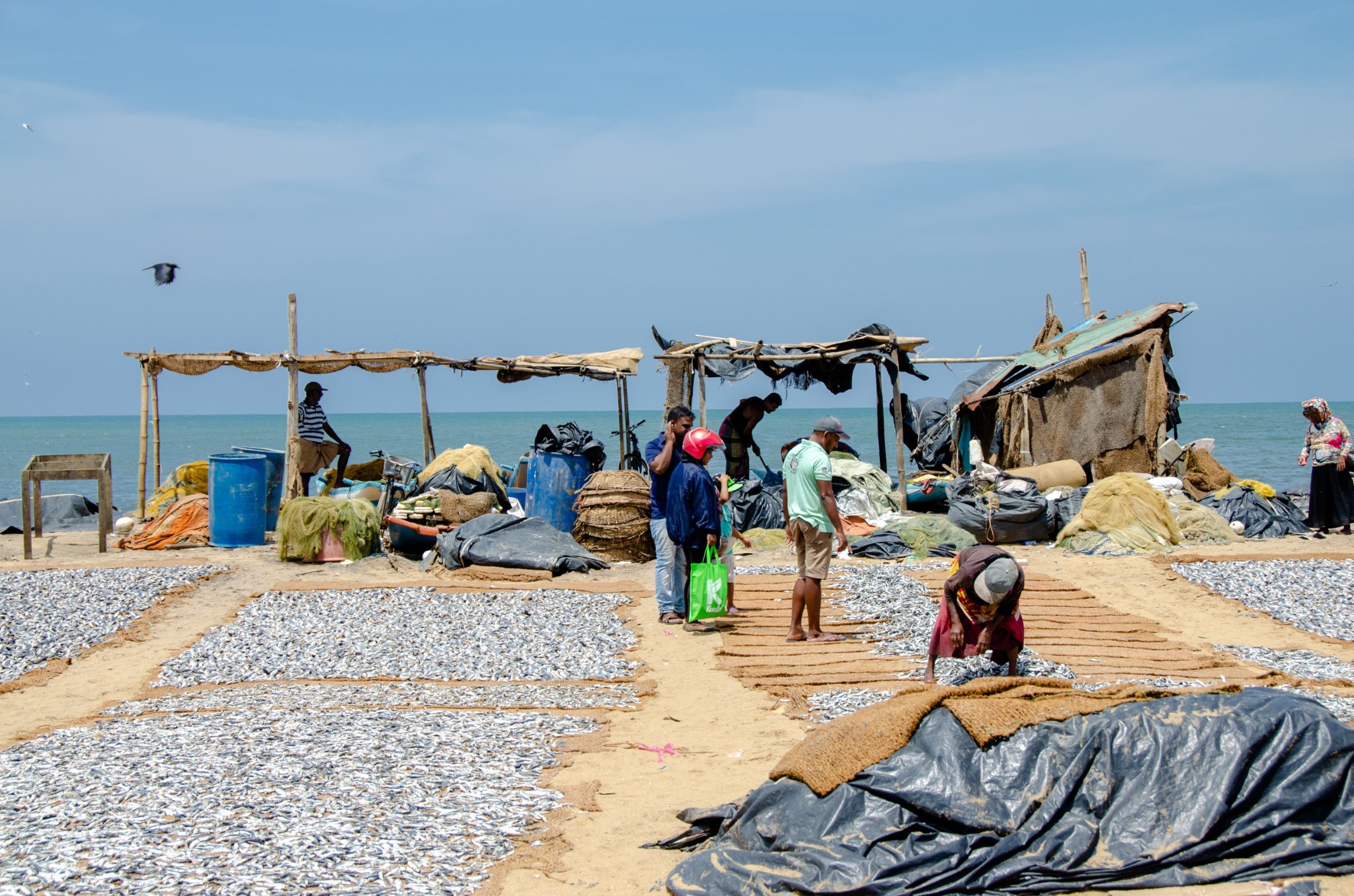 Negombo lagoon and fishing village